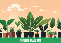 刚栽的花怎么培养活