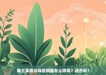 栽兰草用珍珠岩到底怎么样呢？适合吗？