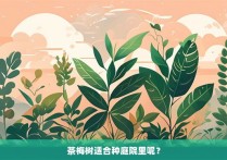 茶梅树适合种庭院里呢？