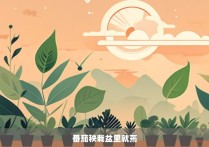 番茄秧栽盆里就蔫