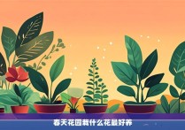 春天花园栽什么花最好养