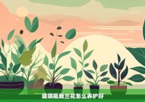 玻璃瓶栽兰花怎么养护好