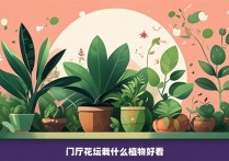 门厅花坛栽什么植物好看