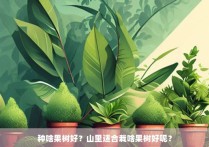 种啥果树好？山里适合栽啥果树好呢？