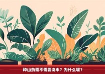 种山药需不需要浇水？为什么呢？