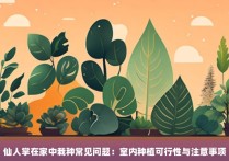 仙人掌在家中栽种常见问题：室内种植可行性与注意事项