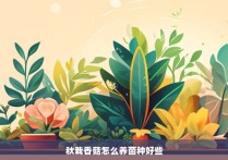 秋栽香菇怎么养菌种好些