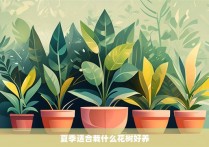 夏季适合栽什么花树好养