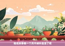 桂花秋季栽一个月不掉叶是活了吧