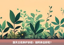 露天兰花养护妙招：如何养出好花？