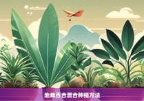 地栽百合混合种植方法