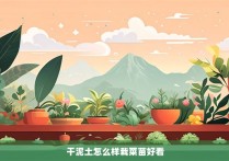 干泥土怎么样栽菜苗好看