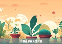 栽苞谷怎样发朋友圈