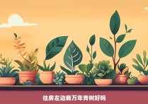 住房左边栽万年青树好吗