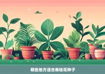 哪些地方适合栽桂花种子