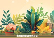 地栽韭菜根苗栽种方法