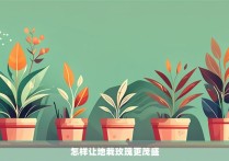 怎样让地栽玫瑰更茂盛