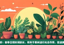 光照较好：春季日照时间较长，有利于果树进行光合作用，促进其生长发育。