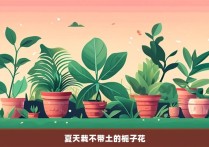 夏天栽不带土的栀子花