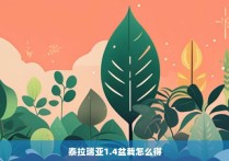 泰拉瑞亚1.4盆栽怎么得