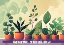 种植车厘子树，深栽好还是浅栽妙？