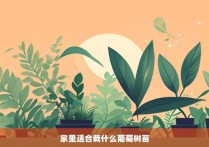 家里适合栽什么葡萄树苗