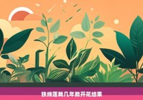 铁线莲栽几年能开花结果