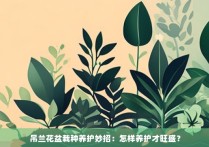 吊兰花盆栽种养护妙招：怎样养护才旺盛？
