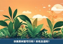 秋栽果树苗可行吗？时机合适吗？