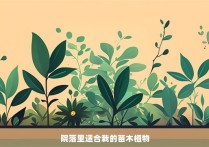 院落里适合栽的苗木植物