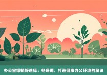 办公室绿植好选择：冬珊瑚，打造健康办公环境的秘诀