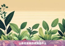 山茶花地栽的优势是什么