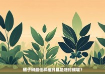 橘子树最佳种植时机是啥时候呢？