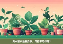 风水窗户边栽月季，可行不可行呢？