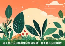 仙人掌什么时候栽活才算成功呢？有没有什么诀窍呢？