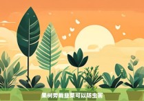 果树旁栽韭菜可以防虫害