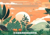 东北地栽绣球花新老枝开花