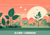 空心菜取一小截能栽活吗