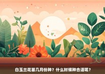 白玉兰花苗几月份种？什么时候种合适呢？