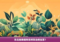 东北地栽植物怎样防治病虫害？