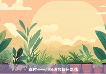 农村十一月份适合栽什么花