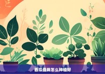 西瓜盘栽怎么种植好