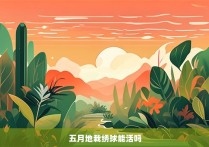 五月地栽绣球能活吗