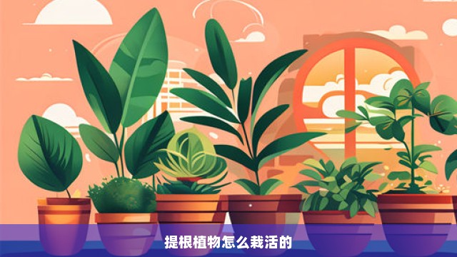 提根植物怎么栽活的