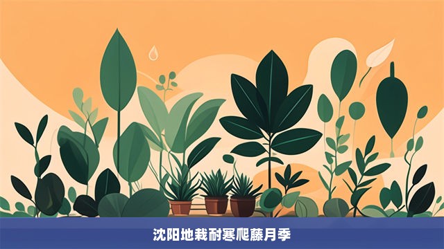 沈阳地栽耐寒爬藤月季