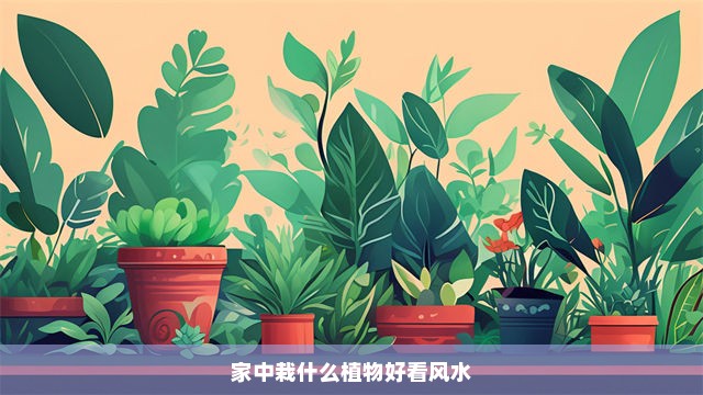 家中栽什么植物好看风水