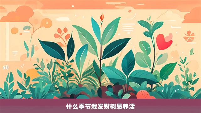 什么季节栽发财树易养活