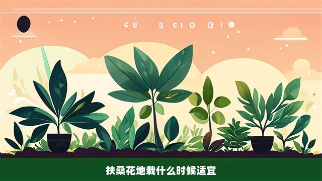 扶桑花地栽什么时候适宜