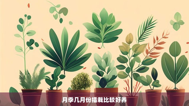 月季几月份插栽比较好养