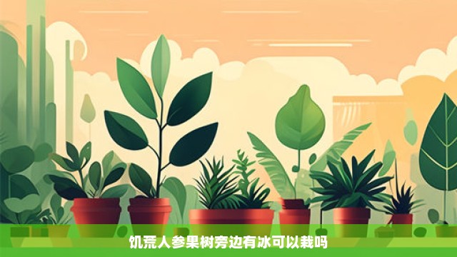 饥荒人参果树旁边有冰可以栽吗